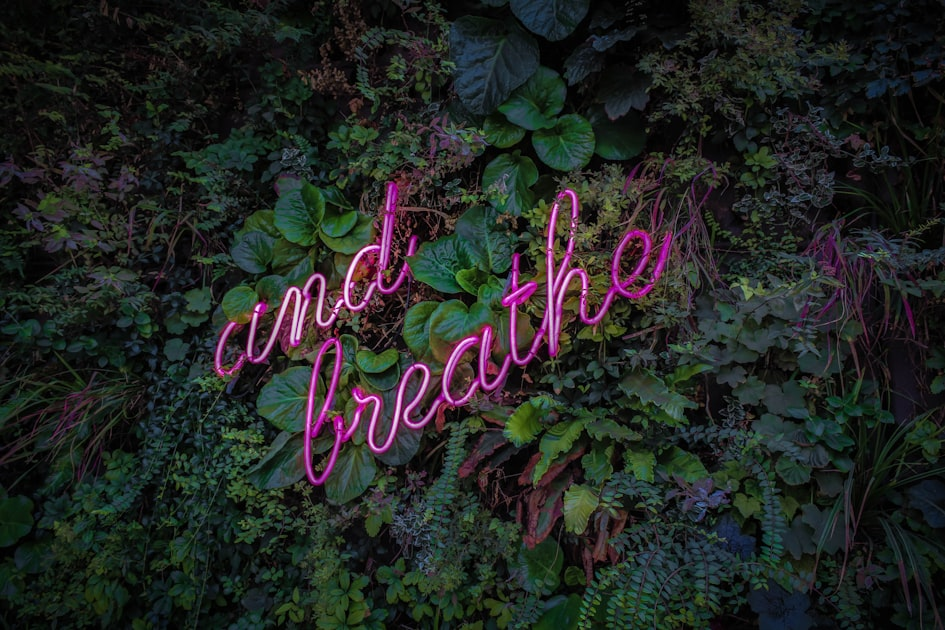Emotional Healing Through Mindfulness